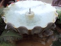 photos 2000-200902754